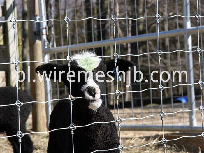 Galvanized Woven Field Fence